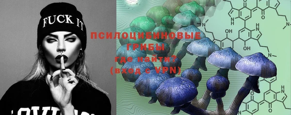 прущие крисы Магадан