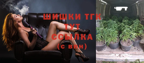 стафф Чердынь