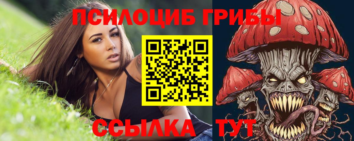 Псилоцибиновые грибы GOLDEN TEACHER Луга