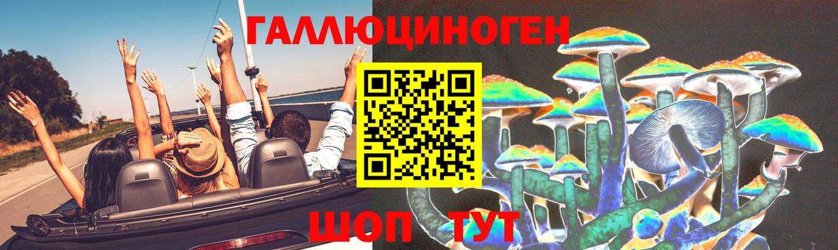 Псилоцибиновые грибы Magic Shrooms  Вход с VPN  Луга 